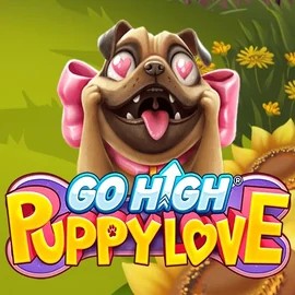 Go High Puppy Love game by RubyPlay – logo hosted on Lemon Casino